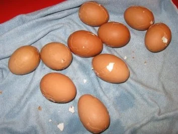 Soleier - neu entdeckt-mein Geschmack - Rezept - Bild Nr. 6