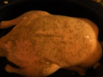 Geflügel/ Wild: Geschmorte Ente - Rezept - Bild Nr. 4