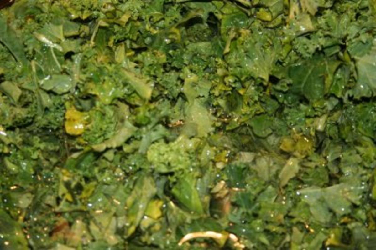 Grünkohleintopf mit Mettwürstchen und geräucherten Rippchen - Rezept - Bild Nr. 2