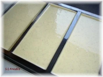 Rezept: Nascherei - Schokolade mit Vanille und Cranberry Bild Nr. 5 Nascherei - Schokolade mit Vanille und Cranberry - Rezept - Bild Nr. 5