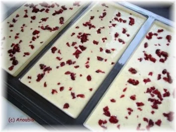 Rezept: Nascherei - Schokolade mit Vanille und Cranberry Bild Nr. 6 Nascherei - Schokolade mit Vanille und Cranberry - Rezept - Bild Nr. 6