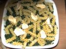 Aufläufe/ Überbackenes: Nudel-Spinat-Lachs-Auflauf - Rezept