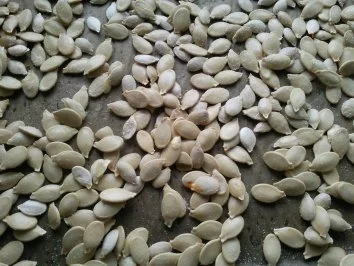 Kürbiskerne-Knabberspaß - Rezept - Bild Nr. 3