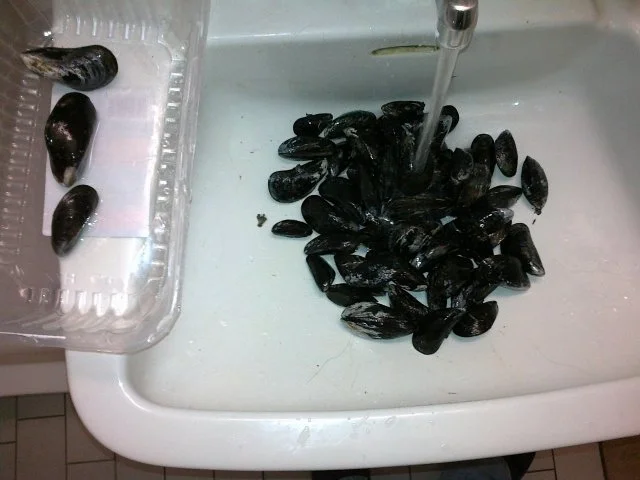 Miesmuscheln alla Normandie - Rezept - Bild Nr. 3