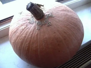 Kürbischutney - Rezept - Bild Nr. 2