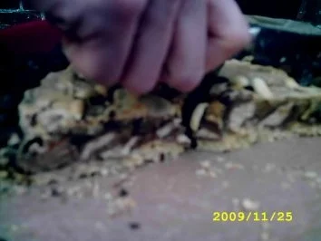 Jelinsky's Peanutbutter-chocolat-pie - Rezept - Bild Nr. 4