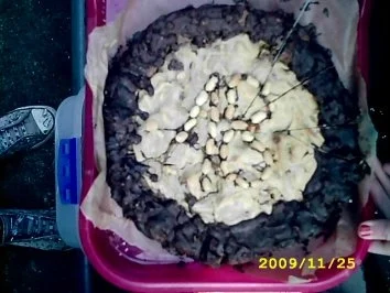 Jelinsky's Peanutbutter-chocolat-pie - Rezept - Bild Nr. 3