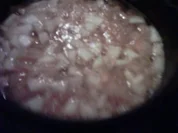 Clementinen-Apfel-Konfitüre mit einen Schuss Zuckerrüben-Sirup - Rezept