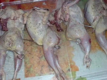 Wachteln - Rezept - Bild Nr. 8