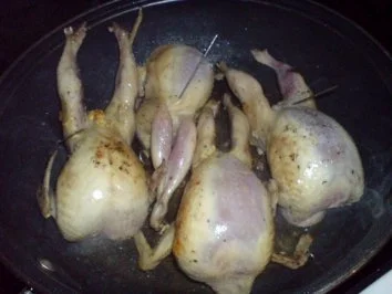 Wachteln - Rezept - Bild Nr. 9