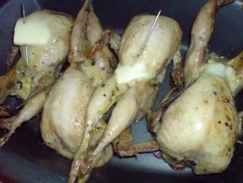 Wachteln - Rezept - Bild Nr. 19