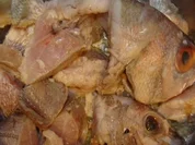 -Fischfond - Eigenherstellung - - Rezept