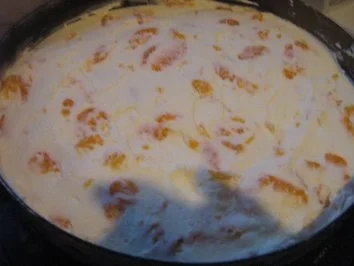 Aprikosen-Mandarinen-Käsesahne - Rezept - Bild Nr. 4
