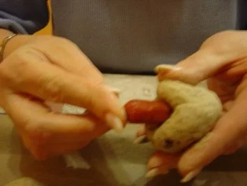 Salami-Brötchen-Snak für den Kartenabend... ergibt ca. 20 Stück - Rezept - Bild Nr. 4