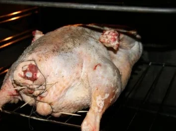 Rezept: Weihnachtsgans mit Rotkohl Bild Nr. 5 Weihnachtsgans mit Rotkohl - Rezept - Bild Nr. 5