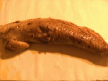 Rezept: Fleisch: Schweinefilet mit Camembert in Blätterteig Bild Nr. 3 Fleisch: Schweinefilet mit Camembert in Blätterteig - Rezept - Bild Nr. 3