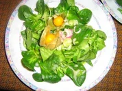 Feldsalat mit Physalis alla Bernd - Rezept