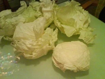 Rezept: Türkische Kohlroullade mit lecker Reisfüllung Bild Nr. 4 Türkische Kohlroullade mit lecker Reisfüllung - Rezept - Bild Nr. 4