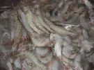 Gambas aus dem Ofen - Rezept