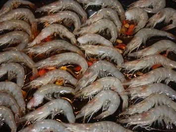 Gambas aus dem Ofen - Rezept - Bild Nr. 2