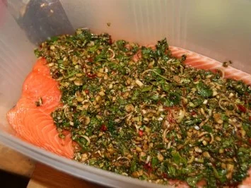 Rezept: Lachs, gebeizt mit Wasabidip Bild Nr. 9 Lachs, gebeizt mit Wasabidip - Rezept - Bild Nr. 9