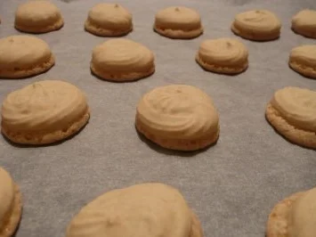 Anisplätzchen - Rezept - Bild Nr. 6