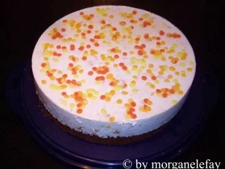 Mandarinen-Quark-Kuchen - Rezept