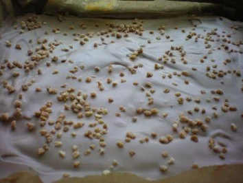 Schoko Karamell Würfel - Rezept - Bild Nr. 4