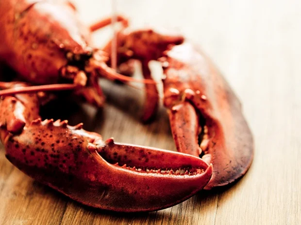 Hummer auf klassische Art - Rezept - Bild Nr. 2