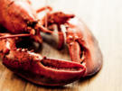 Hummer auf klassische Art - Rezept - Bild Nr. 2