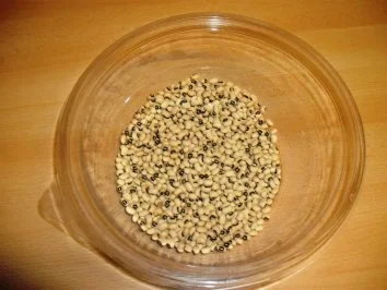 Rezept: Mary's „ Plantains with Beans „ in Gemüsesoße aus Westafrica Bild Nr. 3 Mary's „ Plantains with Beans „ in Gemüsesoße aus Westafrica - Rezept - Bild Nr. 3