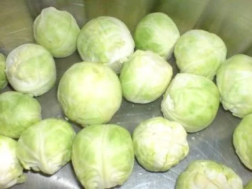 Rezept: Pute mit Apfel-Rosinen-Füllung Bild Nr. 12 Pute mit Apfel-Rosinen-Füllung - Rezept - Bild Nr. 12