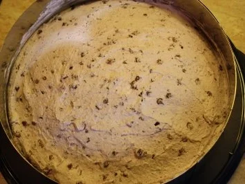 Nussboden mit Preiselberfüllung - Rezept - Bild Nr. 5