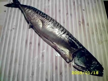 Rezept: Frischi-Fischi x) Bild Nr. 2 Frischi-Fischi x) - Rezept - Bild Nr. 2