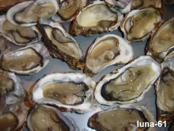 Rezept: AUSTERN GRATINIERT NACH LUNA'S ART Bild Nr. 7 AUSTERN GRATINIERT NACH LUNA'S ART - Rezept - Bild Nr. 7