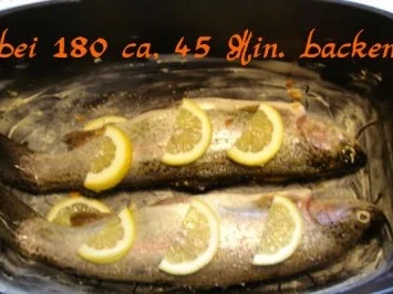 Rezept: Mandelforellen auf Zitronenbett Bild Nr. 4 Mandelforellen auf Zitronenbett - Rezept - Bild Nr. 4
