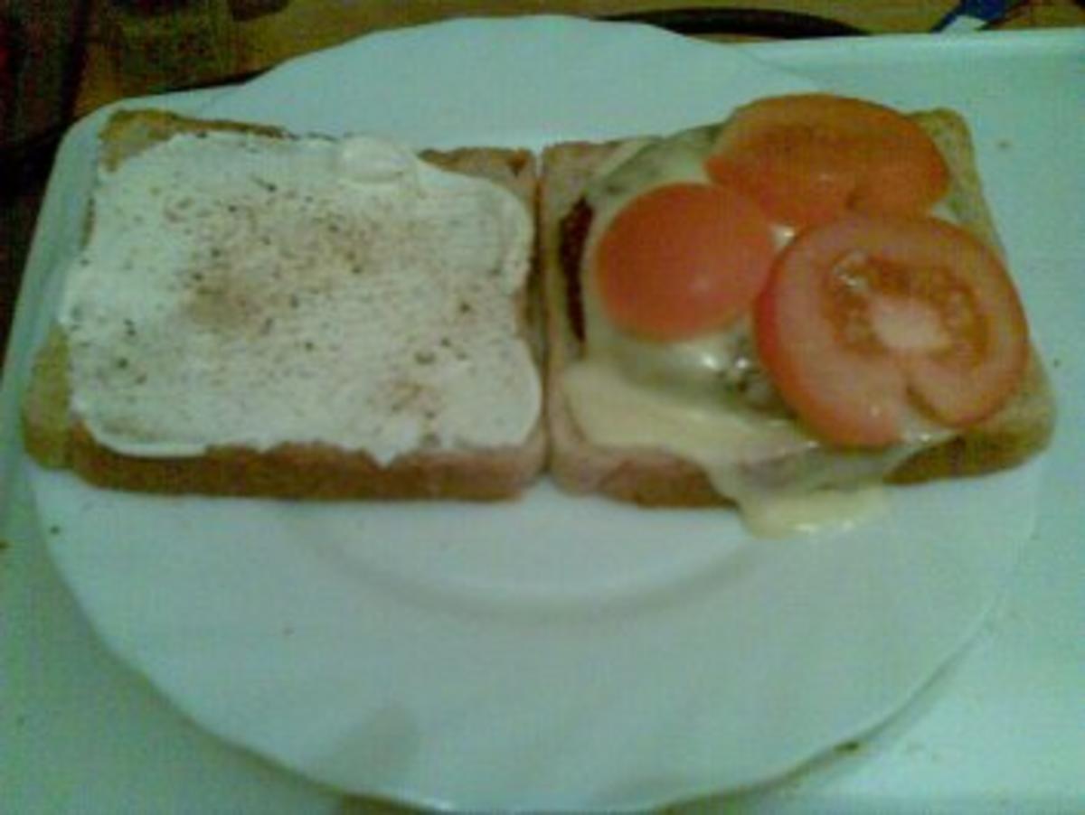 Hamburger - Rezept - Bild Nr. 3