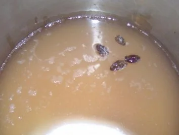 Rezept: Apfelgelee mit Kardamom Bild Nr. 2 Apfelgelee mit Kardamom - Rezept - Bild Nr. 2