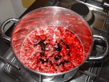 Meine Bayrisch Creme auf Himbeerspiegel - Rezept - Bild Nr. 6