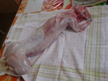 Geschmortes Kaninchen in Weißweinsoße - Rezept - Bild Nr. 4