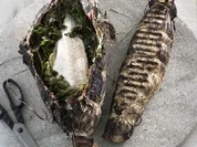 Wolfsbarsch in Papier - Rezept - Bild Nr. 9