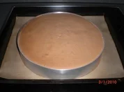 Tortenboden schwarz - Rezept