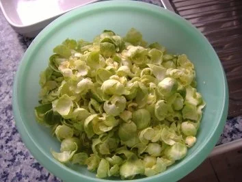 Rezept: Gedünstete Rosenkohlblätter Bild Nr. 2 Gedünstete Rosenkohlblätter - Rezept - Bild Nr. 2