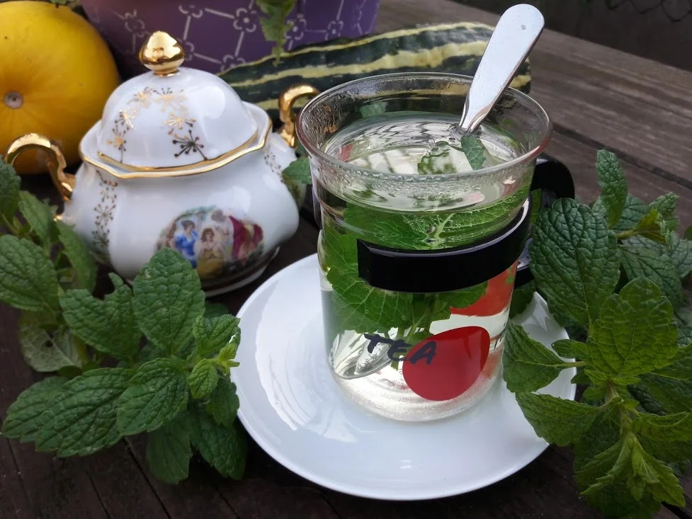 Pfefferminztee - Rezept - Bild Nr. 2