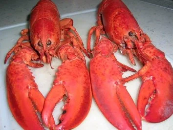 Rezept: Hummer Thermidor Hummer Thermidor - Rezept