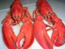 Hummer Thermidor - Rezept
