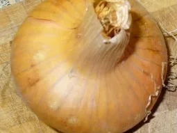 Gulasch - wie´s dem Wanderer schmeckt - Rezept - Bild Nr. 5