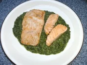 Lachs im Spinatbett - Rezept