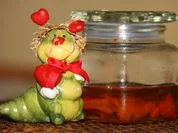 Selbst eingelegte Paprikas - Rezept