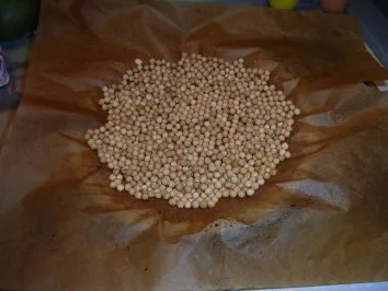 Kuchen: Frischkäse-Pfefferkuchen-Tarte - Rezept - Bild Nr. 6